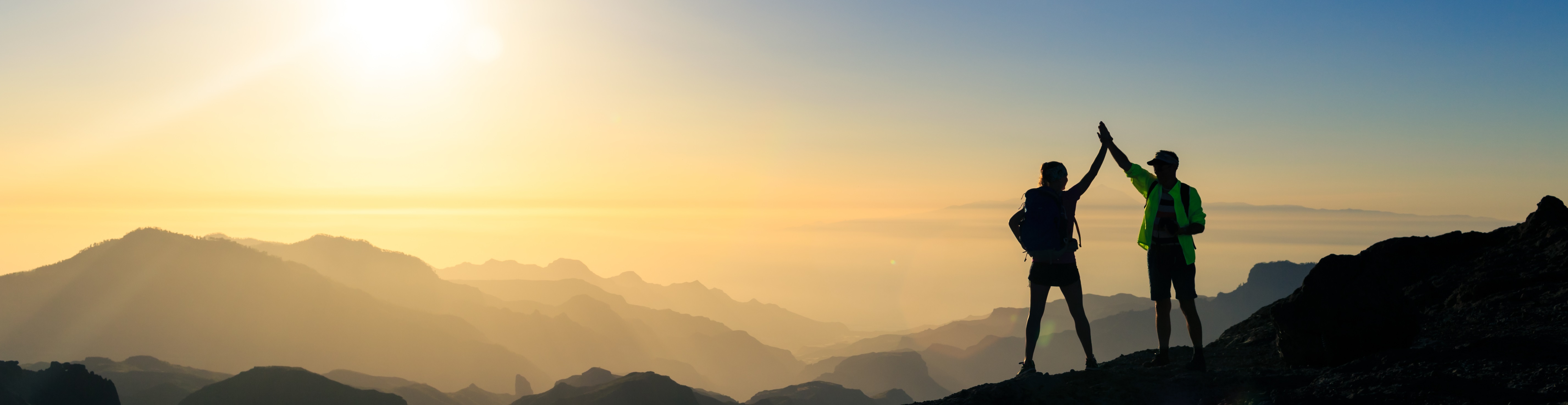 banner1